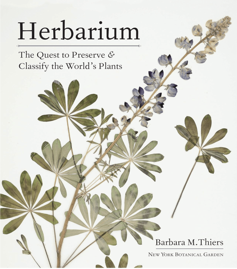 Herbarium book 